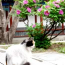北京旅游 缩略图 5