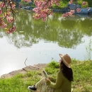 北京旅游 缩略图 11