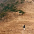 天津旅游 缩略图 3