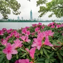 南京旅游 缩略图 3