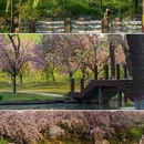北京旅游 缩略图 12