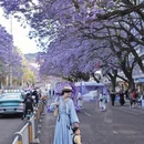 凉山旅游 缩略图 3