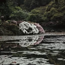 杭州旅游 缩略图 3