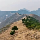 天津旅游 缩略图 5