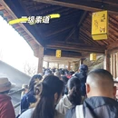 黄山旅游 缩略图 1