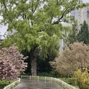 北京旅游 缩略图 16