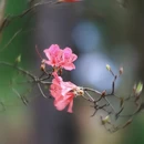 杭州旅游 缩略图 10