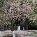 北京旅游 缩略图 2