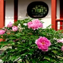 北京旅游 缩略图 12