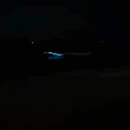 防城港旅游 缩略图 2