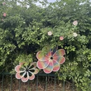 南京旅游 缩略图 16