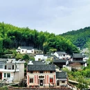 黄山旅游 缩略图 8