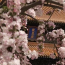 北京旅游 缩略图 12