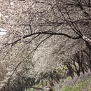 大连旅游 缩略图 9