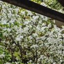北京旅游 缩略图 12