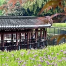 重庆旅游 缩略图 9