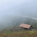 长沙旅游 缩略图 15