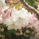 北京旅游 缩略图 9