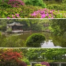 上海旅游 缩略图 10