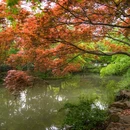 上海旅游 缩略图 12