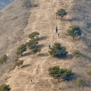 天津旅游 缩略图 8
