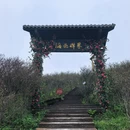 长沙旅游 缩略图 2
