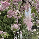 北京旅游 缩略图 13