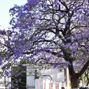 凉山旅游 缩略图 8