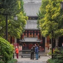 上海旅游 缩略图 11