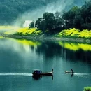 黄山旅游 缩略图 5