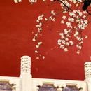 北京旅游 缩略图 4
