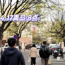青岛旅游 缩略图 1