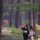 杭州旅游 缩略图 8