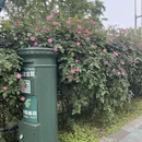 南京旅游 缩略图 7