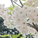 北京旅游 缩略图 10