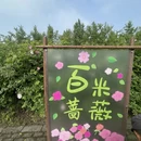 南京旅游 缩略图 17