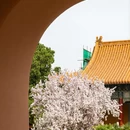北京旅游 缩略图 9