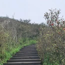 长沙旅游 缩略图 6