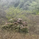 长沙旅游 缩略图 18
