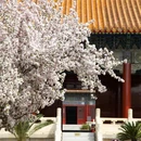 北京旅游 缩略图 10