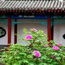北京旅游 缩略图 16