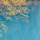 阿坝旅游 缩略图 11