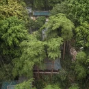 南宁旅游 缩略图 2