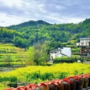 黄山旅游 缩略图 6