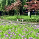 重庆旅游 缩略图 4