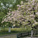 北京旅游 缩略图 6