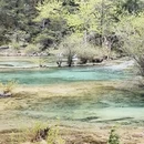 阿坝旅游 缩略图 15