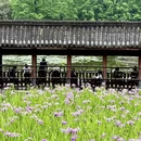重庆旅游 缩略图 8