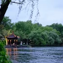 杭州旅游 缩略图 1