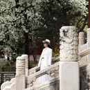北京旅游 缩略图 8